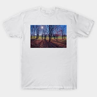 Fall At The Arboretum T-Shirt